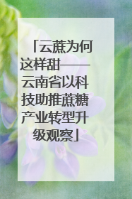云蔗为何这样甜——云南省以科技助推蔗糖产业转型升级观察