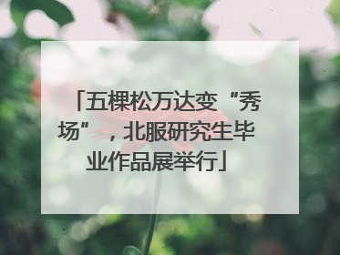 五棵松万达变“秀场”，北服研究生毕业作品展举行