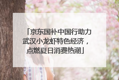 京东国补中国行助力武汉小龙虾特色经济，点燃夏日消费热潮