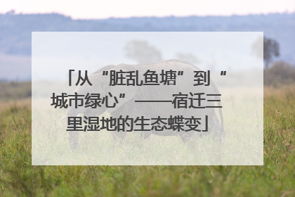 从“脏乱鱼塘”到“城市绿心”——宿迁三里湿地的生态蝶变