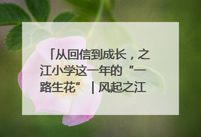 从回信到成长，之江小学这一年的“一路生花”｜风起之江 扶摇直上
