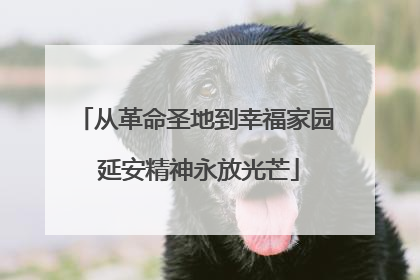 从革命圣地到幸福家园 延安精神永放光芒