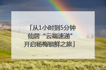 从1小时到5分钟 仙居“云端速递”开启杨梅锁鲜之旅