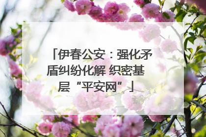 伊春公安：强化矛盾纠纷化解 织密基层“平安网”