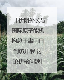 伊朗外长与国际原子能机构总干事同日到访开罗 讨论伊核问题