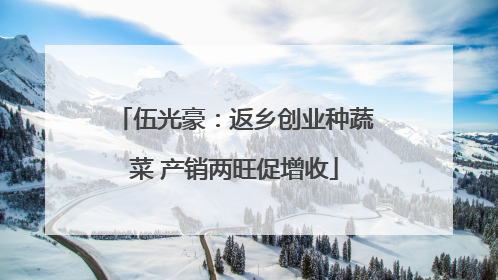 伍光豪：返乡创业种蔬菜 产销两旺促增收