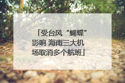 受台风“蝴蝶”影响 海南三大机场取消多个航班