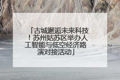 古城邂逅未来科技！苏州姑苏区举办人工智能与低空经济路演对接活动