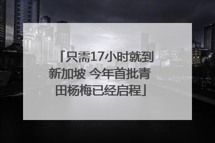 只需17小时就到新加坡 今年首批青田杨梅已经启程