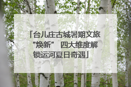 台儿庄古城暑期文旅“焕新” 四大维度解锁运河夏日奇遇