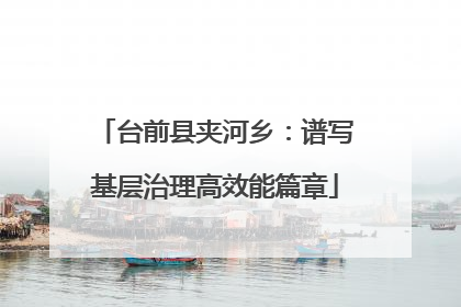 台前县夹河乡：谱写基层治理高效能篇章
