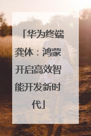 华为终端龚体：鸿蒙开启高效智能开发新时代