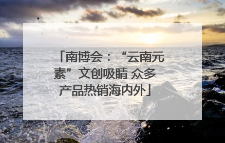 南博会：“云南元素”文创吸睛 众多产品热销海内外