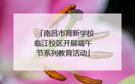 南昌市育新学校临江校区开展端午节系列教育活动