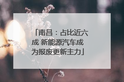 南昌：占比近六成 新能源汽车成为报废更新主力