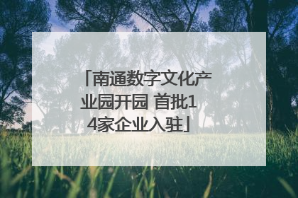 南通数字文化产业园开园 首批14家企业入驻