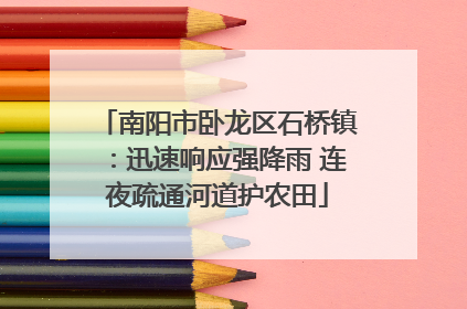 南阳市卧龙区石桥镇：迅速响应强降雨 连夜疏通河道护农田