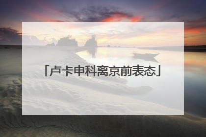 卢卡申科离京前表态