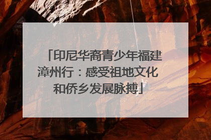 印尼华裔青少年福建漳州行：感受祖地文化和侨乡发展脉搏