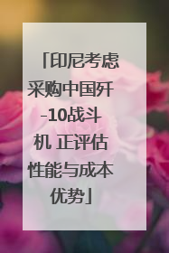 印尼考虑采购中国歼-10战斗机 正评估性能与成本优势