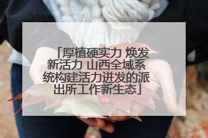 厚植硬实力 焕发新活力 山西全域系统构建活力迸发的派出所工作新生态