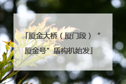 厦金大桥（厦门段）“厦金号”盾构机始发