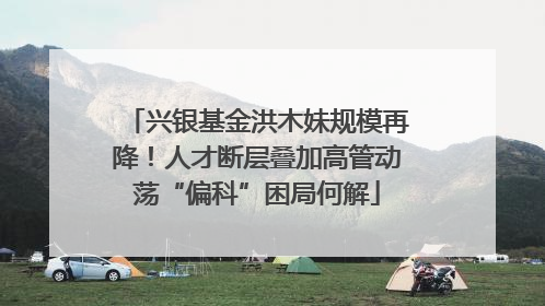 兴银基金洪木妹规模再降！人才断层叠加高管动荡“偏科”困局何解