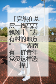 党旗在基层一线高高飘扬丨“去有村的地方”——湖南有一群青年党员这样选择