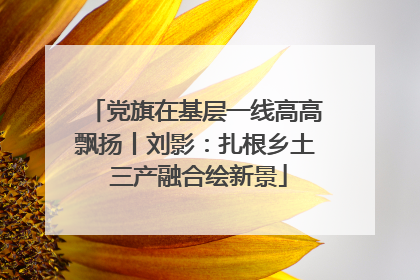 党旗在基层一线高高飘扬丨刘影：扎根乡土 三产融合绘新景
