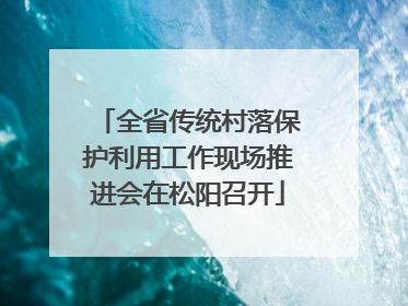 全省传统村落保护利用工作现场推进会在松阳召开