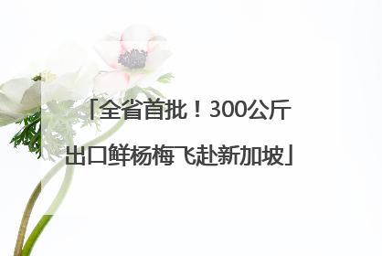 全省首批！300公斤出口鲜杨梅飞赴新加坡