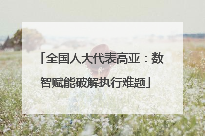 全国人大代表高亚：数智赋能破解执行难题