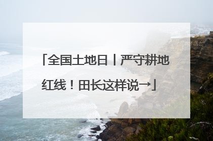 全国土地日丨严守耕地红线！田长这样说→