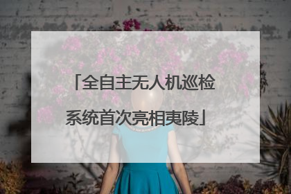 全自主无人机巡检系统首次亮相夷陵