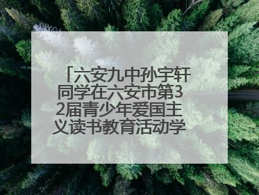 六安九中孙宇轩同学在六安市第32届青少年爱国主义读书教育活动学生演讲比赛中荣获一等奖