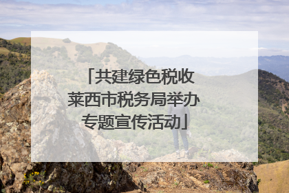 共建绿色税收 莱西市税务局举办专题宣传活动
