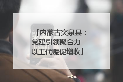 内蒙古突泉县：党建引领聚合力 以工代赈促增收