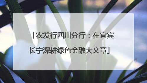 农发行四川分行：在宜宾长宁深耕绿色金融大文章