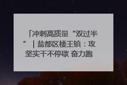 冲刺高质量“双过半”｜盐都区楼王镇：攻坚实干不停歇 奋力跑赢“上半场”