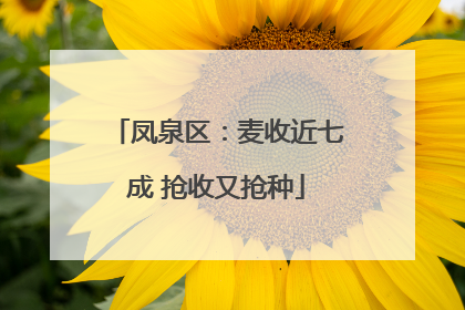 凤泉区：麦收近七成 抢收又抢种