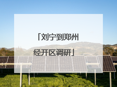 刘宁到郑州经开区调研