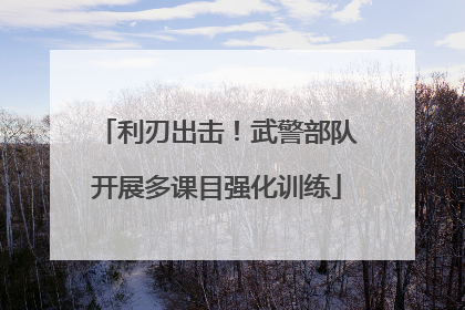 利刃出击！武警部队开展多课目强化训练