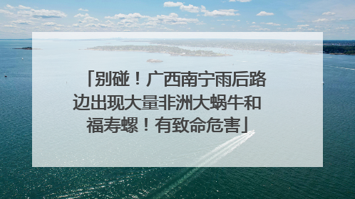 别碰！广西南宁雨后路边出现大量非洲大蜗牛和福寿螺！有致命危害