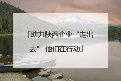 助力陕西企业“走出去” 他们在行动
