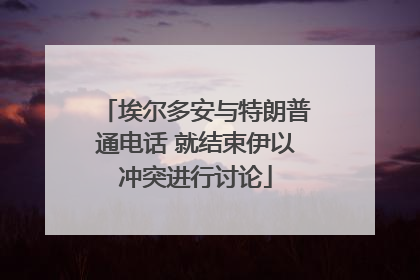 埃尔多安与特朗普通电话 就结束伊以冲突进行讨论