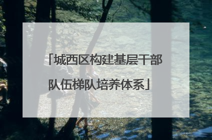 城西区构建基层干部队伍梯队培养体系