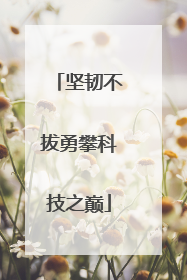 坚韧不拔勇攀科技之巅