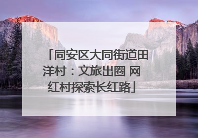 同安区大同街道田洋村：文旅出圈 网红村探索长红路