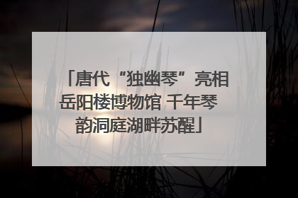 唐代“独幽琴”亮相岳阳楼博物馆 千年琴韵洞庭湖畔苏醒