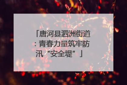 唐河县泗洲街道：青春力量筑牢防汛“安全堤”
